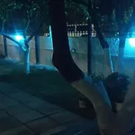 Elia 公寓 *
